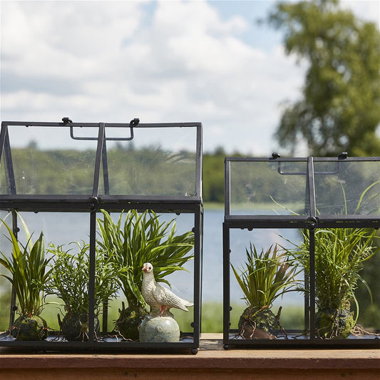 Kunstige græssorter på rod i mini drivhus