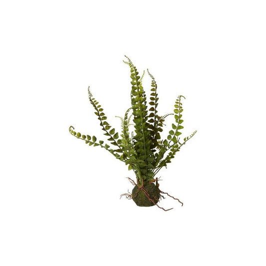 kunstig bregne på rod