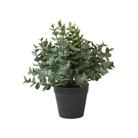 kunstig eukalyptus plante i potte