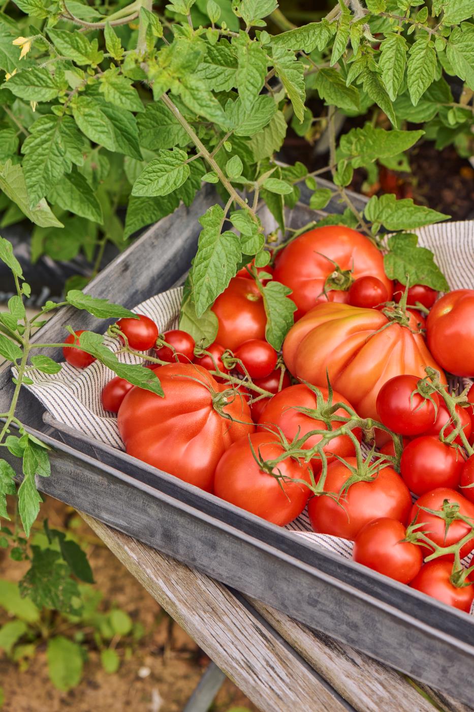 Ib Laursen - Bakkesæt med 2 aflange Urban Garden