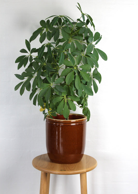 Secondhand - Syltekrukke Ø 22 cm x H 24 cm