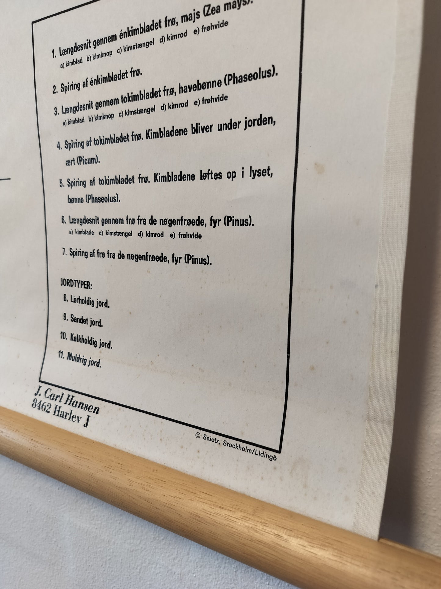 Secondhand - Skoleplanche om Frø - spiring og jordstruktur