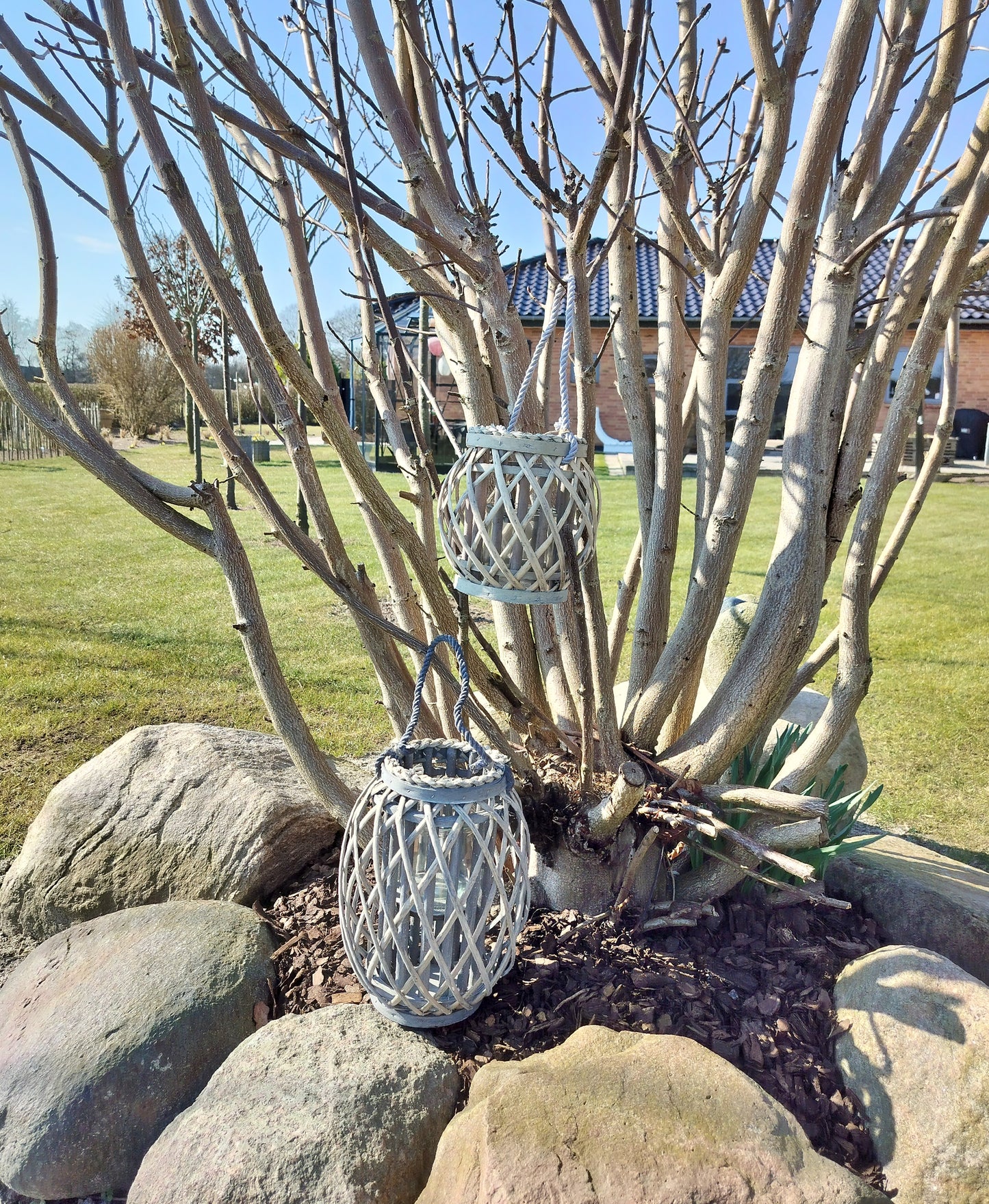 Lanterne sæt H 20/30 cm ved træ