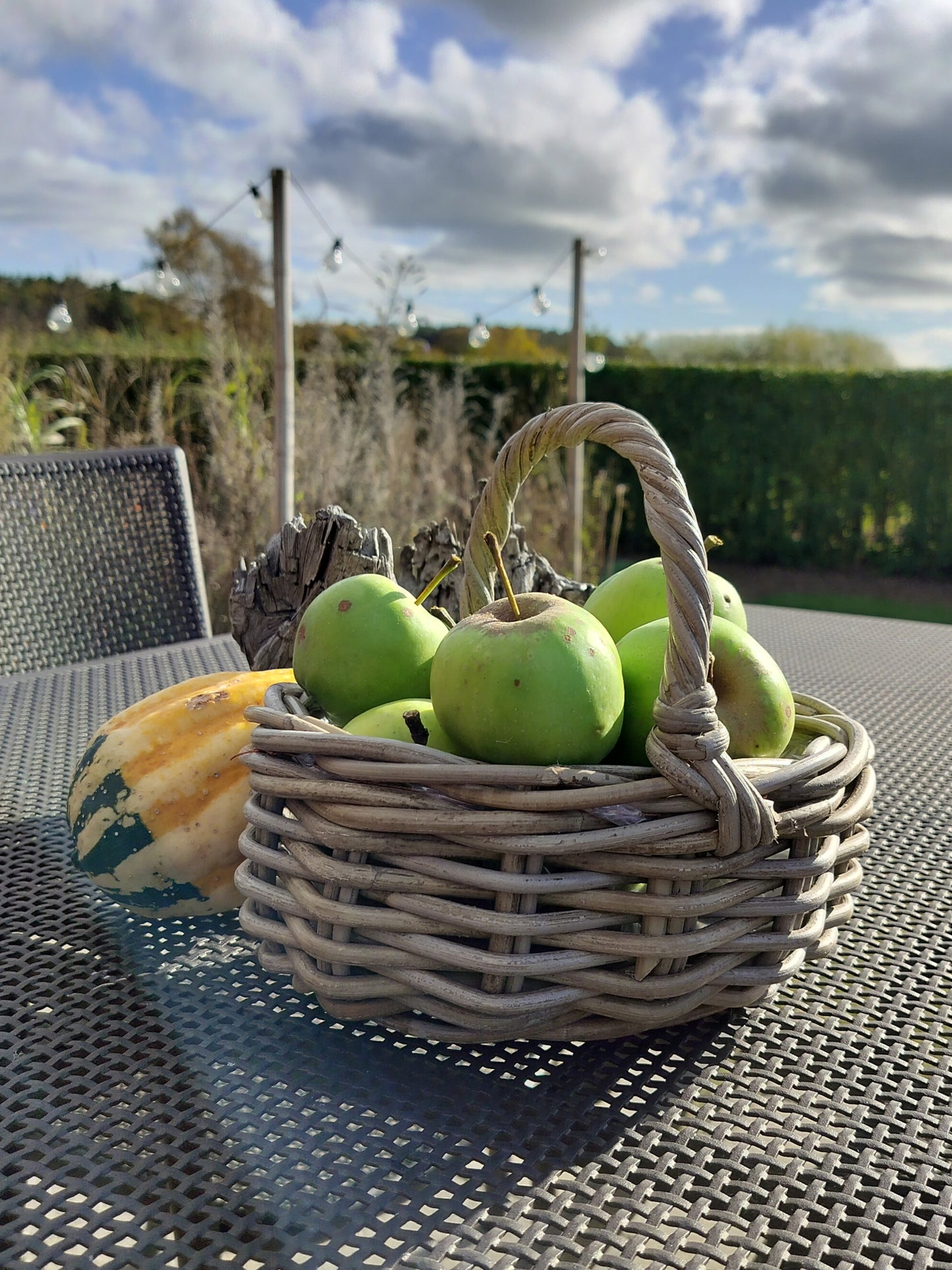 Mini bykurv ovalformet i flettet grå rattan S: L 27 x B 25 x H 13 cm