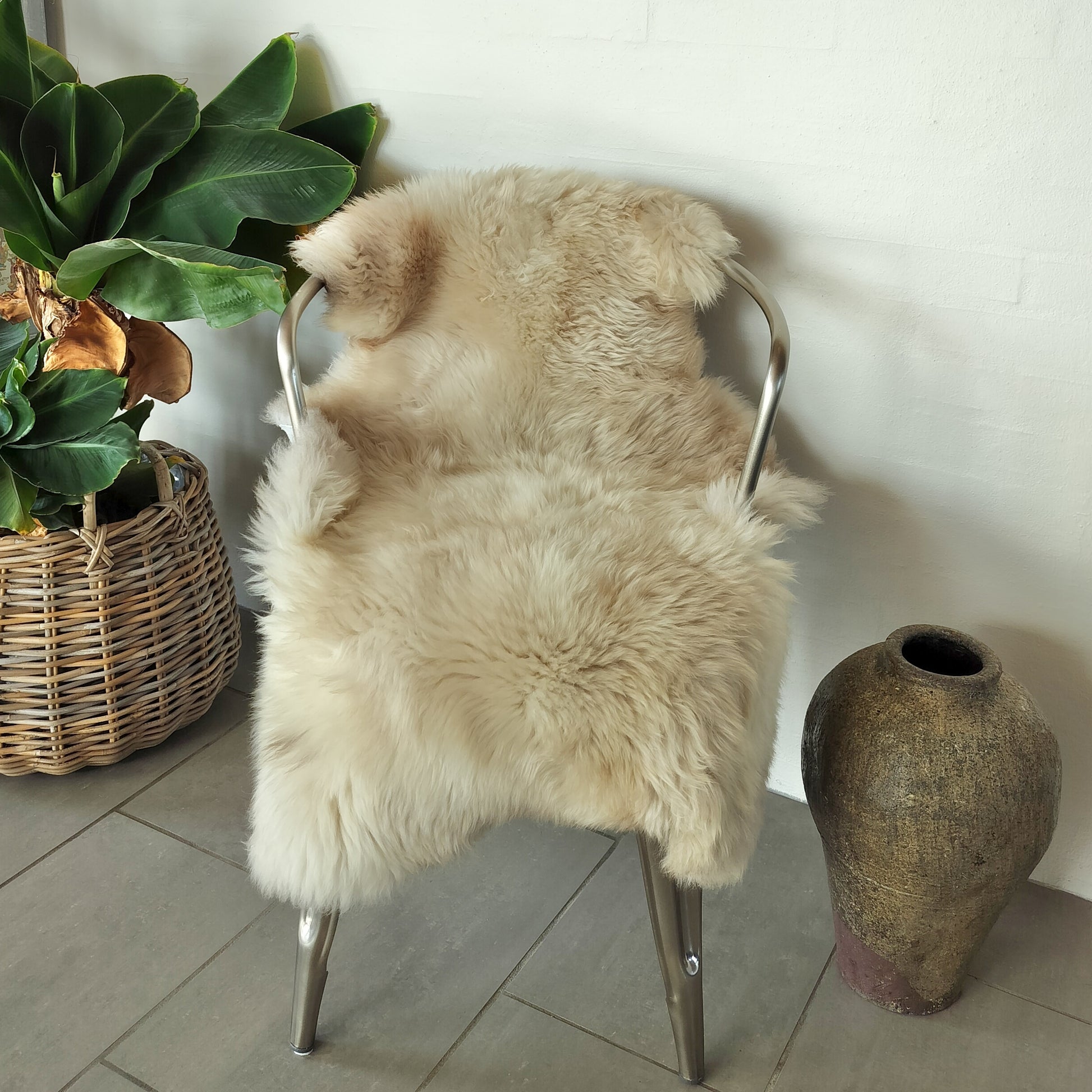 Lammeskind korthåret og vamset - Hvid med mørke aftegninger