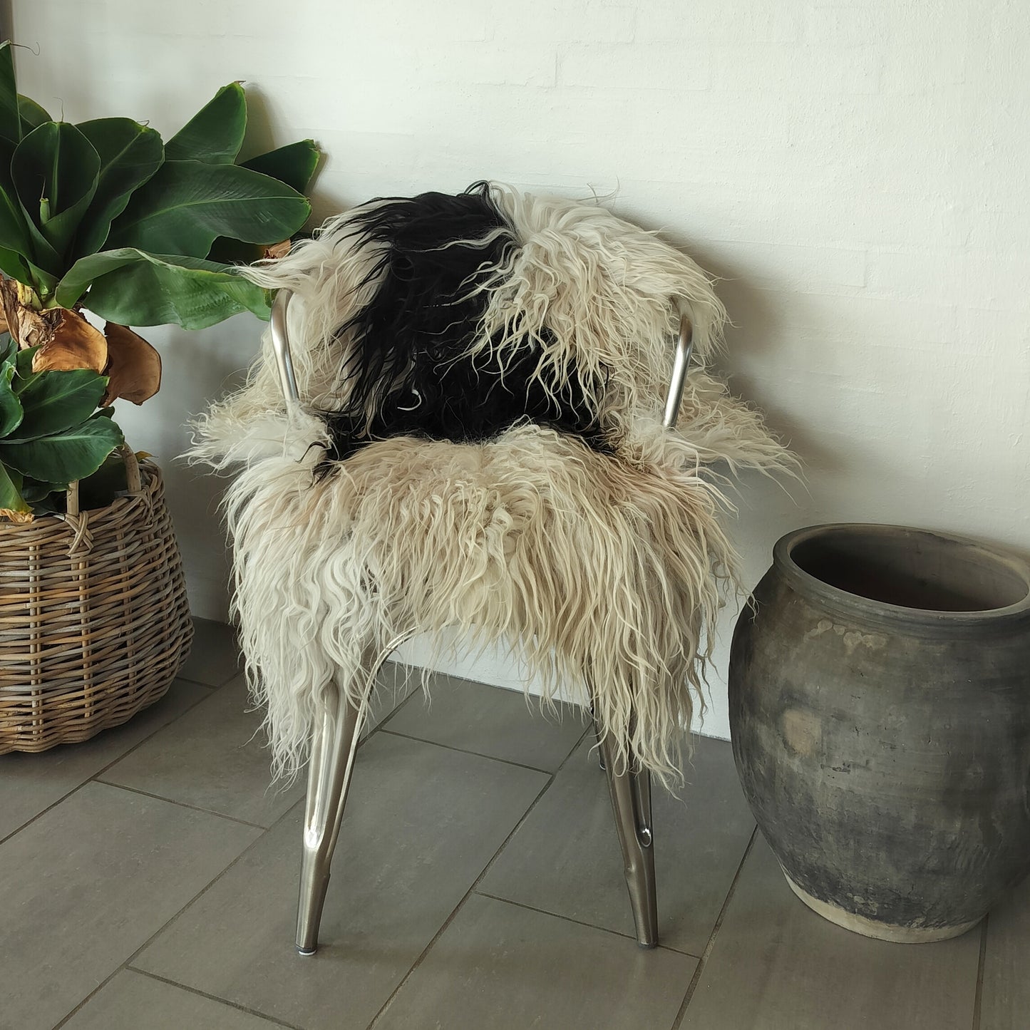 Lammeskind langhåret og curly - Hvid med store sorte pletter