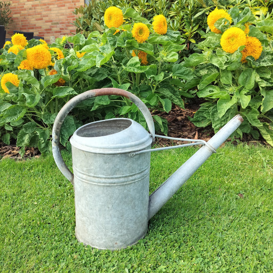 Secondhand - Gammel zink vandkande (kun til Deko)
