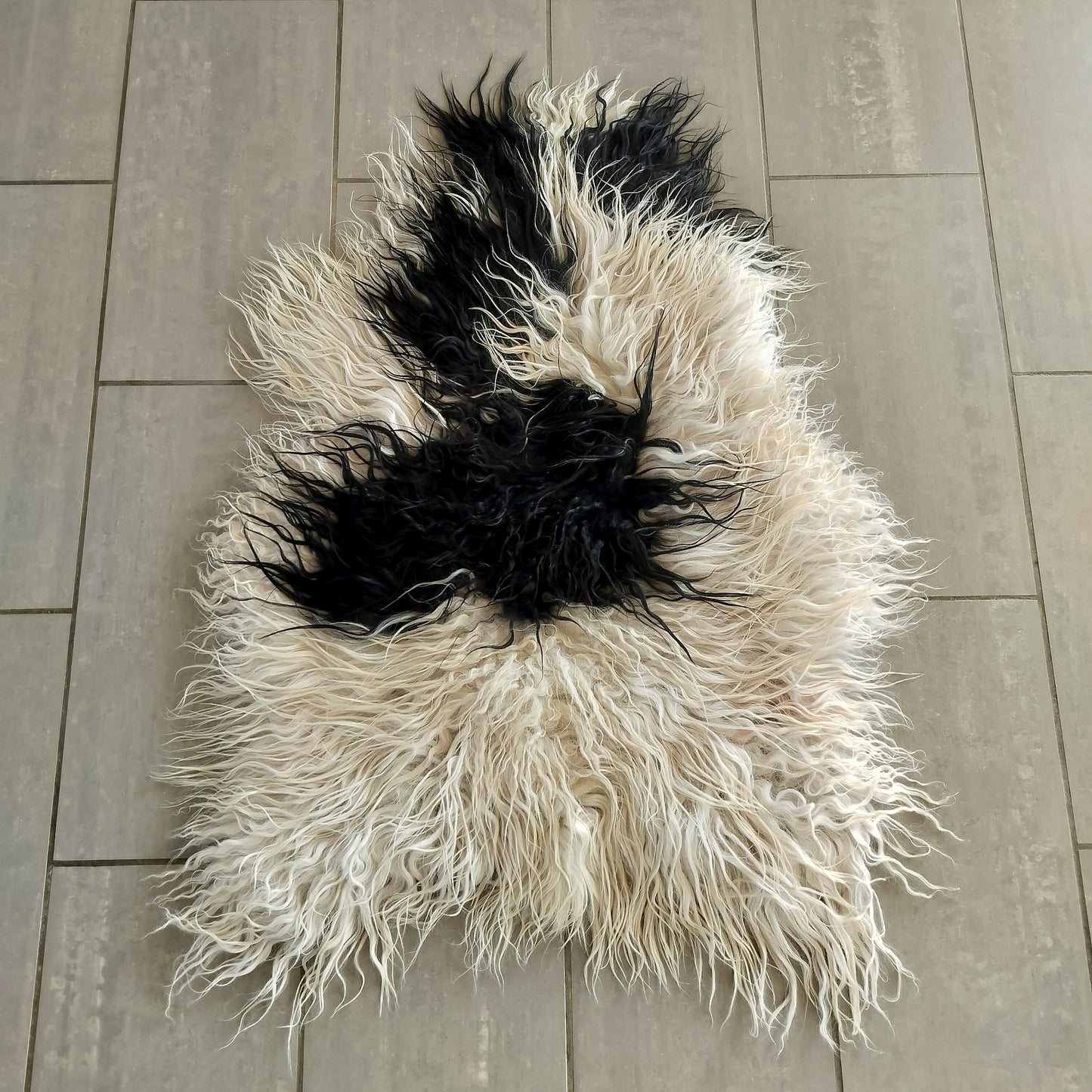 Lammeskind langhåret og curly - Hvid med store sorte pletter