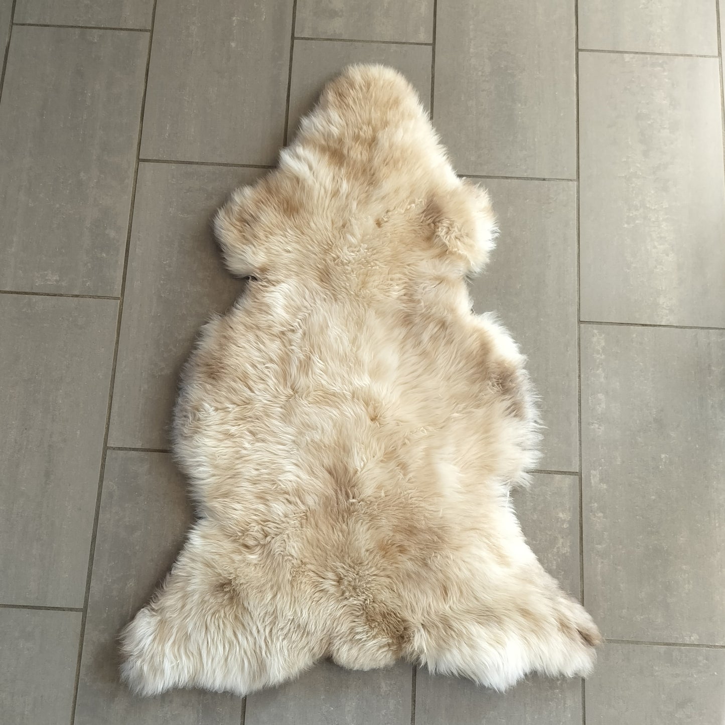 Lammeskind korthåret og vamset - Hvid med mørke aftegninger