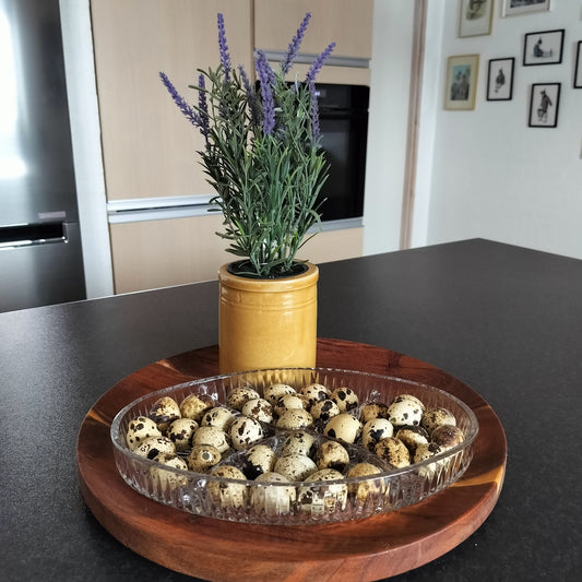 Ib Laursen - Vagtelæg natur 36 stk. (til deko)