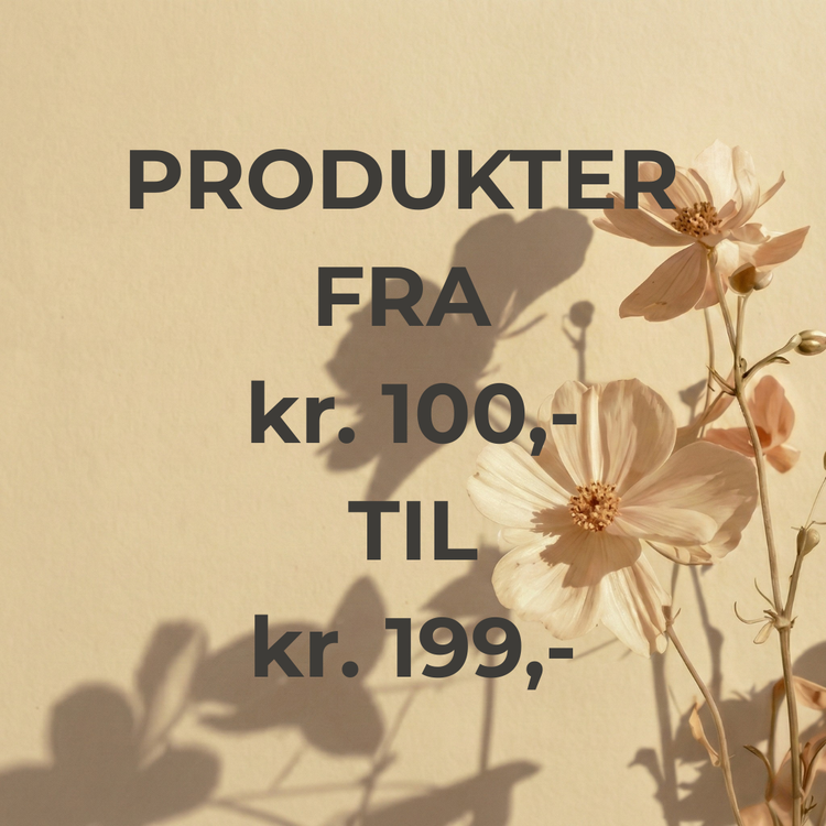 Produkter fra kr. 100,- til kr. 199,-