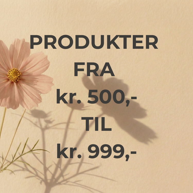Produkter fra kr. 500,- til kr. 999,-