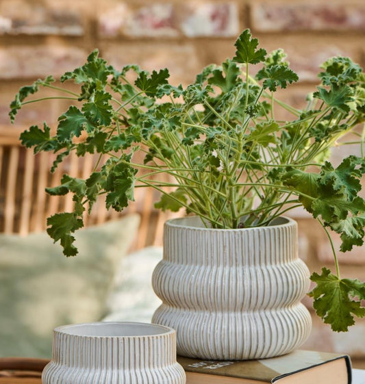 Ib Laursen Skjuler med riller, hvid - Distressed Ø 16 x H 12,5 cm