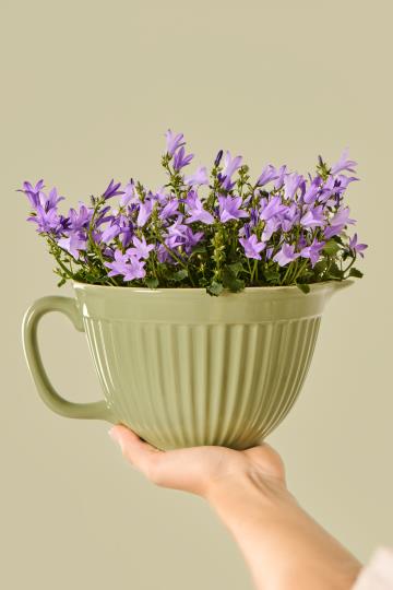 Ib Laursen - Mynte piskeskål Wasabi