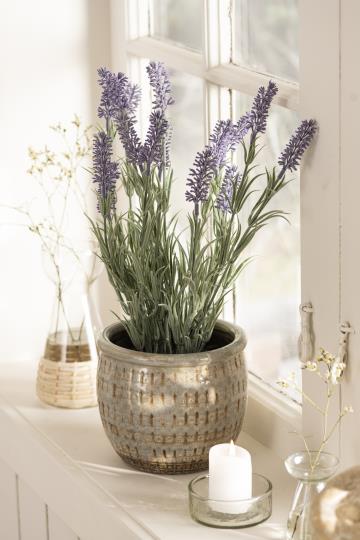 Ib Laursen - Lavendel i sort potte (kunstig)