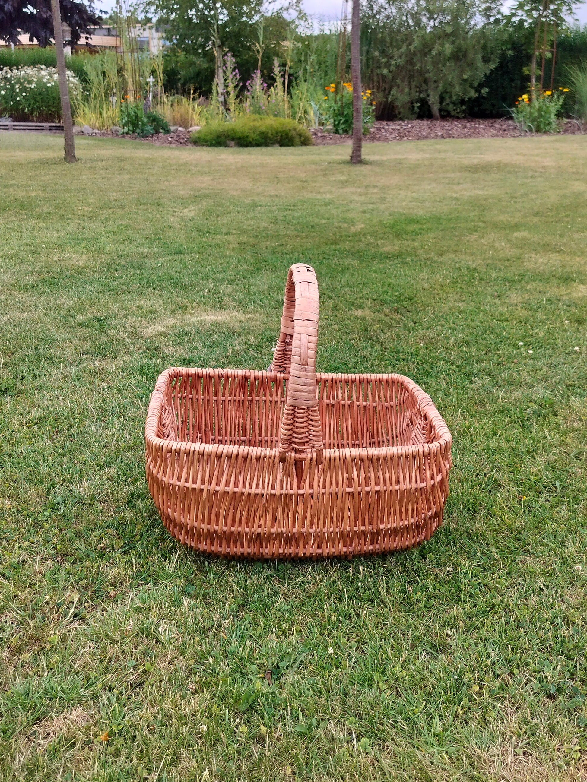 Hollænderkurv i kogepil L 40 x D 30 x H 20/38 cm