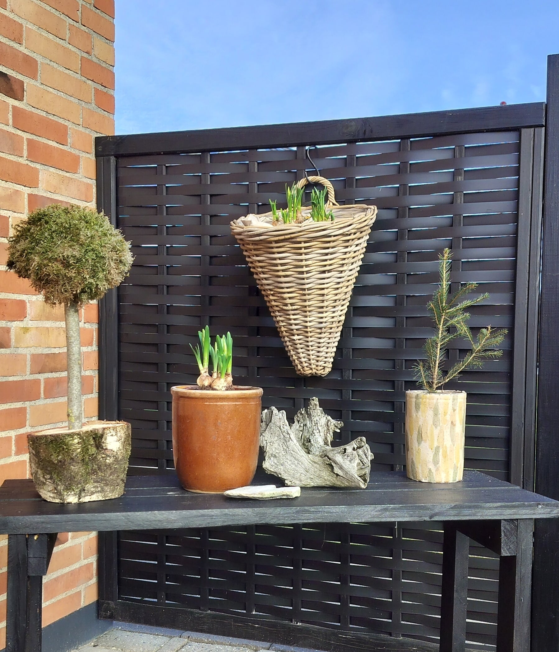 Vægampel i rattan B 35,5 x D 31 x H 42/49,5 cm