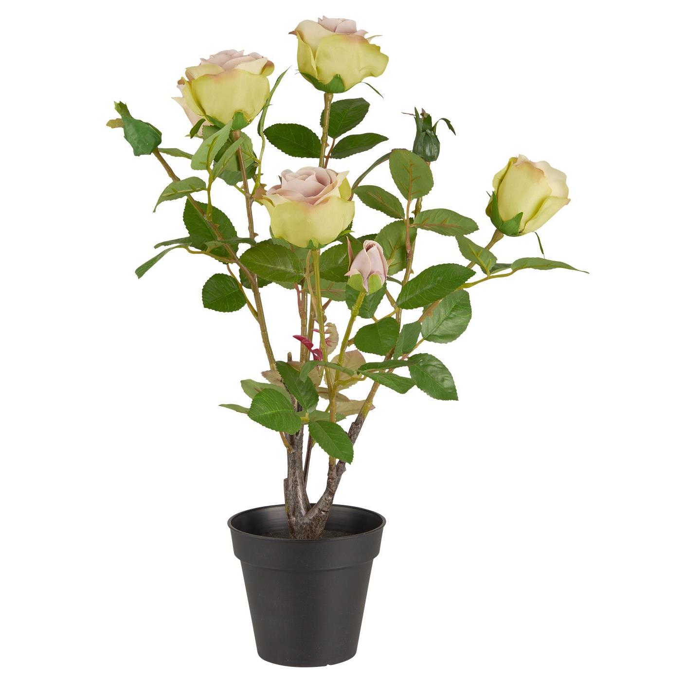 Rose med 5 blomster og 4 knopper i potte (Kunstig)