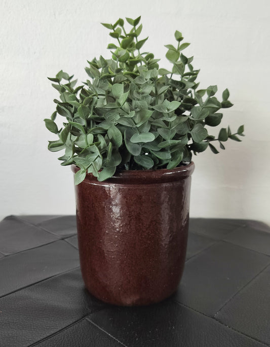 Lille mørkebrun syltekrukke Ø 12,4 x H 13,4 cm med grøn plante.