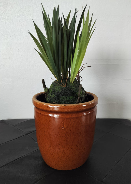 lille brunmeleret syltekrukke Ø 13 x H 13,7 cm med grøn kunstig plante på rod.