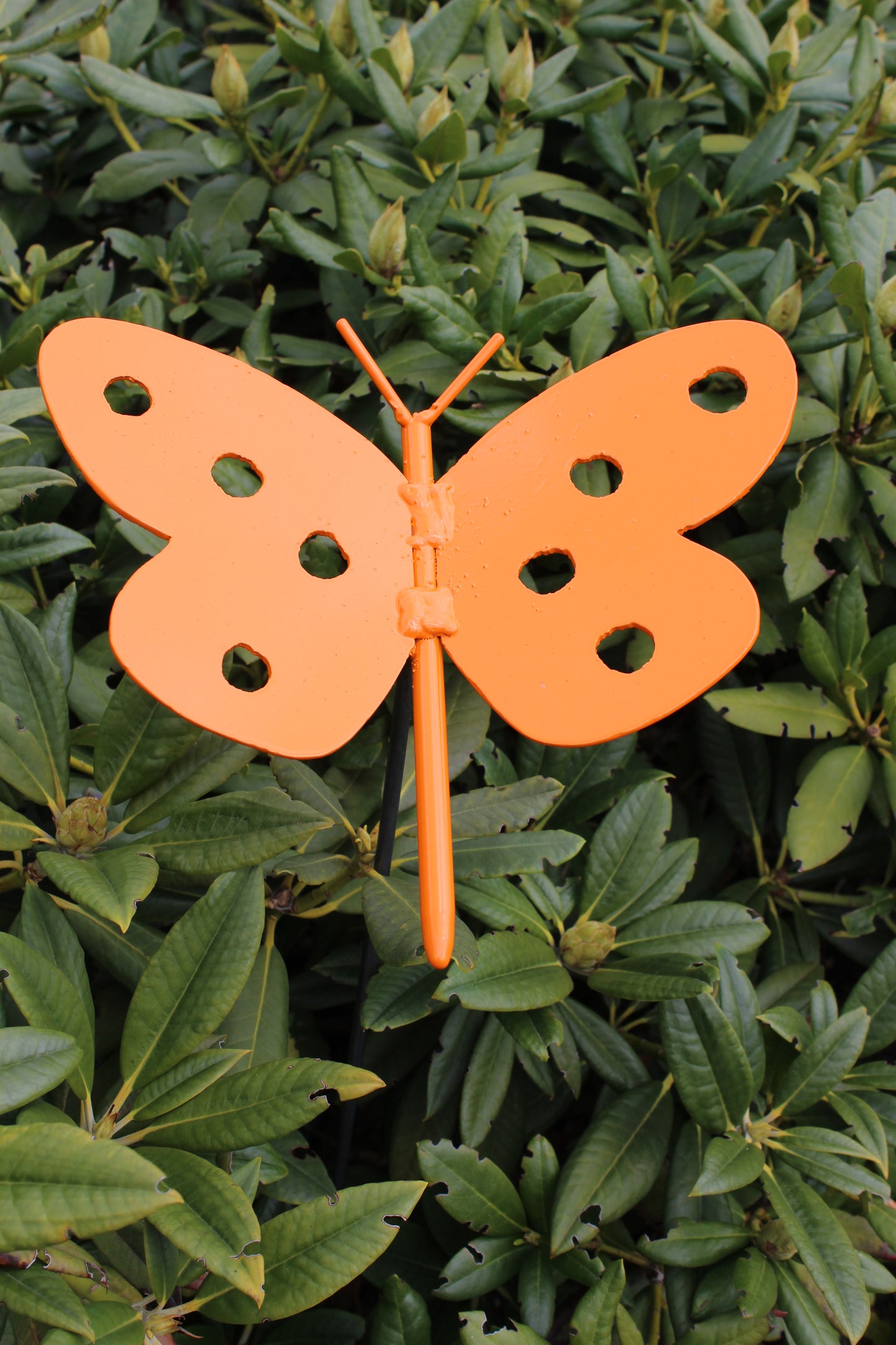 Metal sommerfugl på spyd - orange