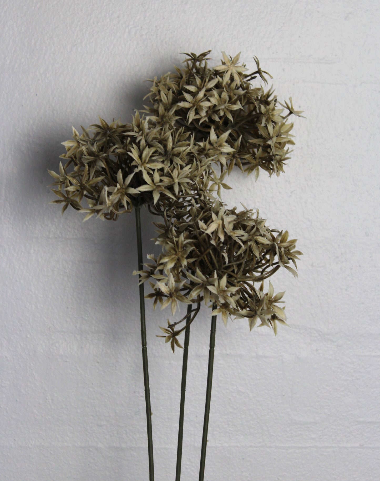Deko Florale - 2 stk Kunstig Allium (prydløg) stilke med 3 hoveder på hver H 60 cm, creme farve
