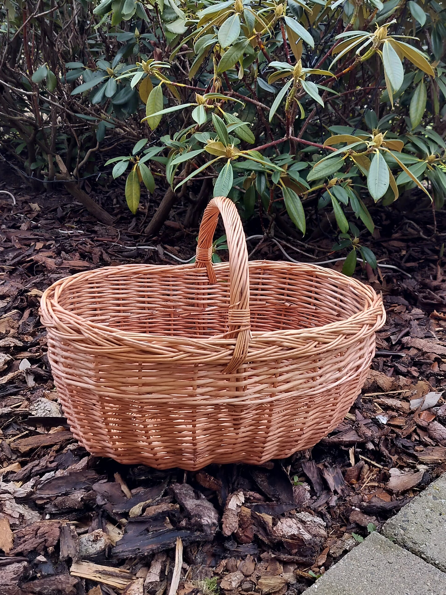 Autokurv / Bykurv med kant af rødpil  L 47 x B 35 x H22/34 cm