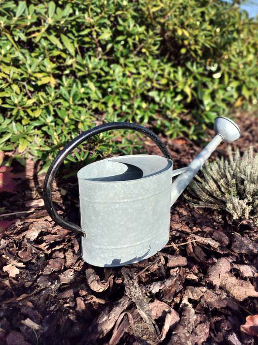 Ib Laursen - Vandkande grå med sort hank 5L (2. sortering)