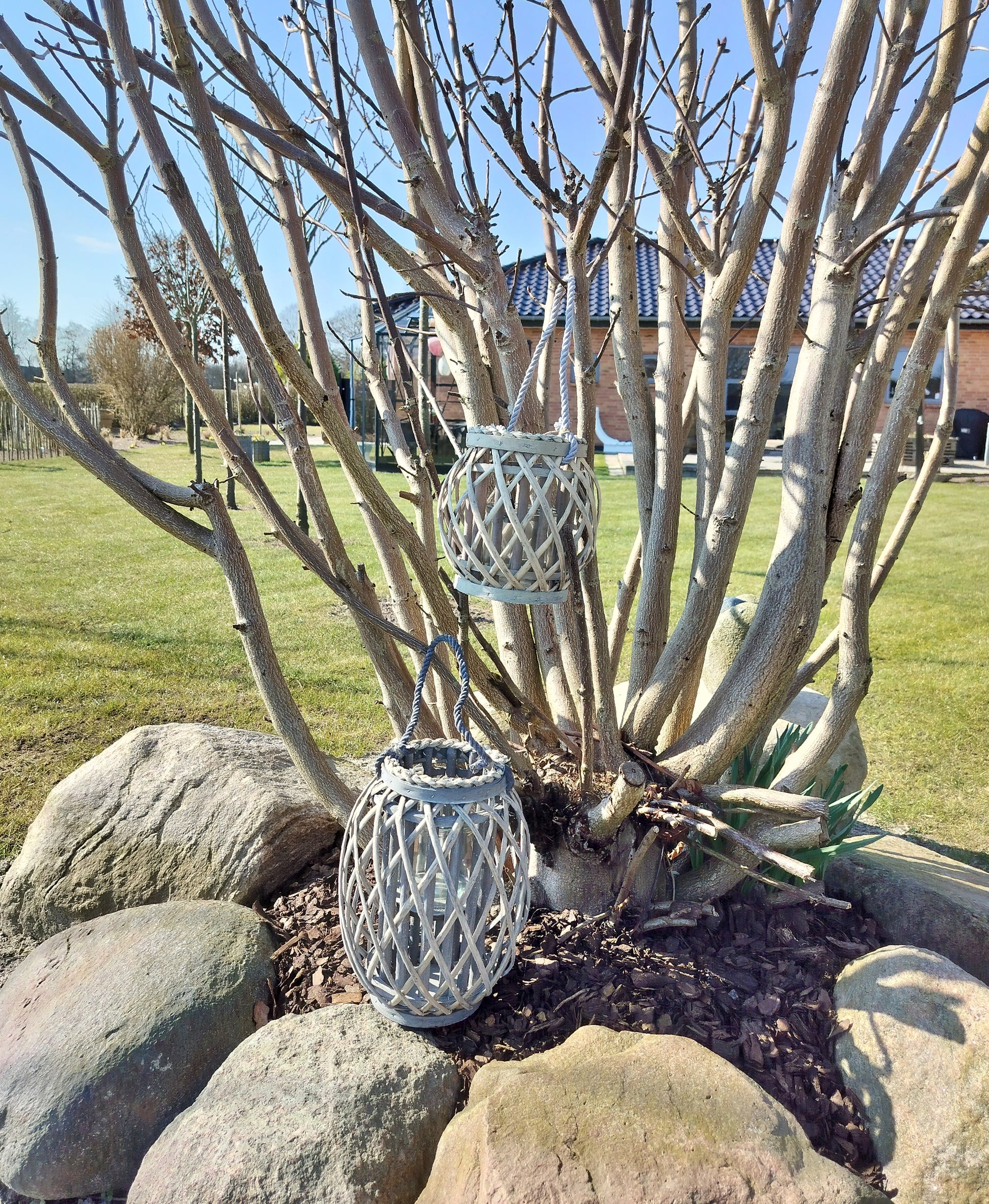 Lanterne sæt H 20/30 cm ved  træ