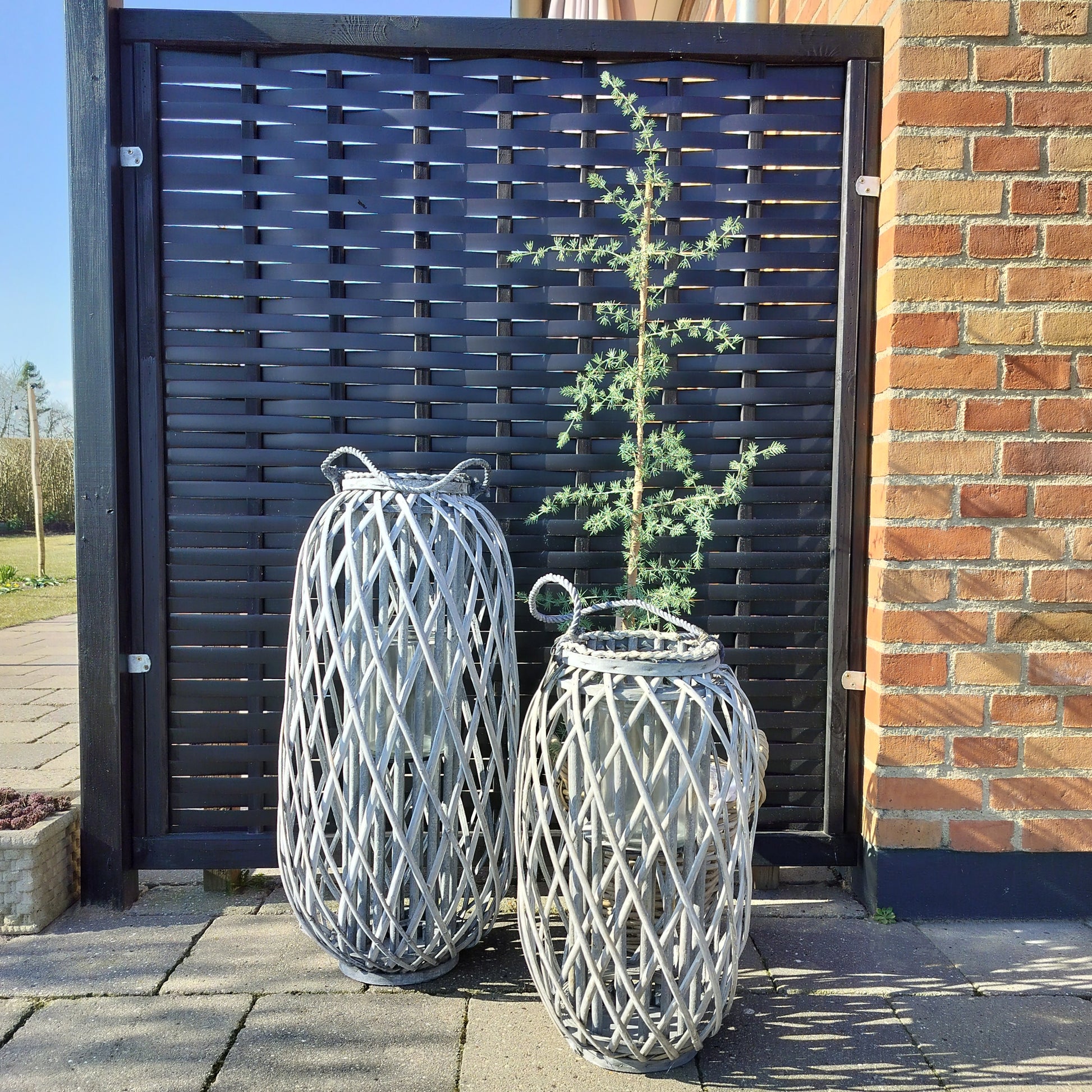 lanterner med højde 50 og 70 cm og et kunstig cedertræ 