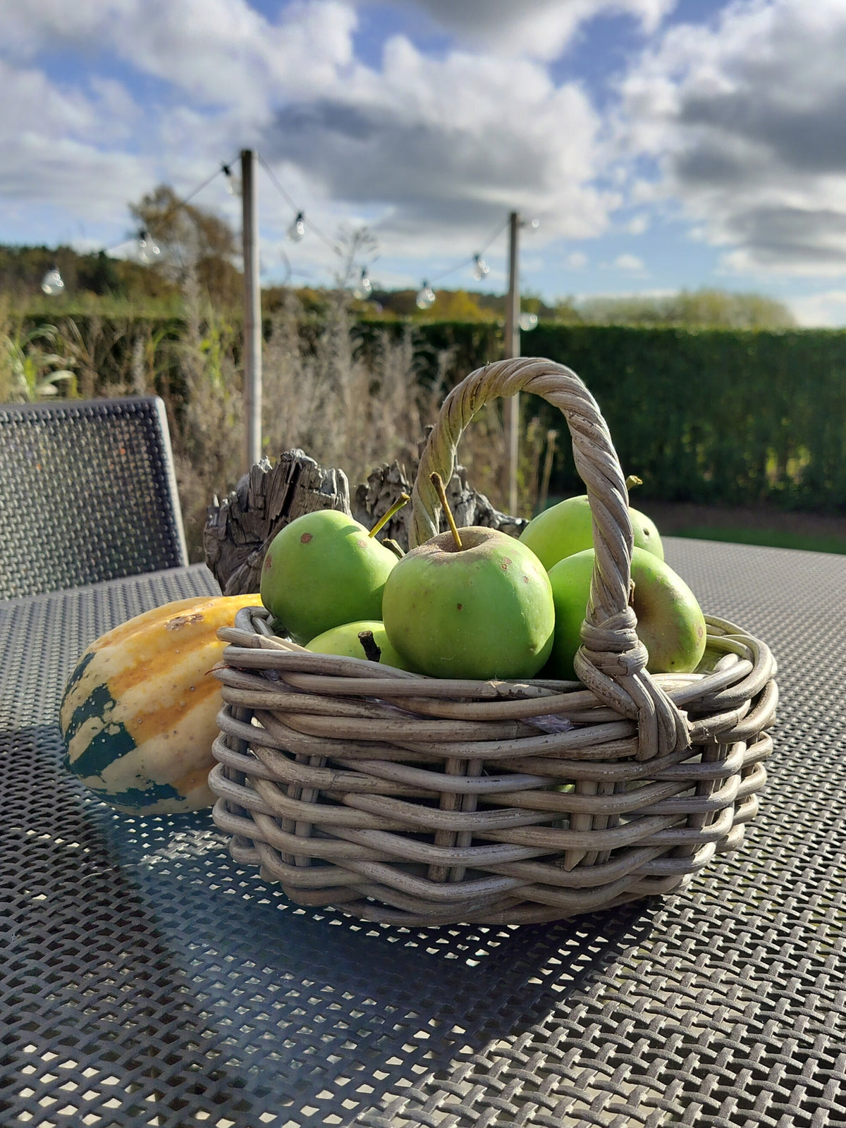 Mini bykurv ovalformet i flettet grå rattan