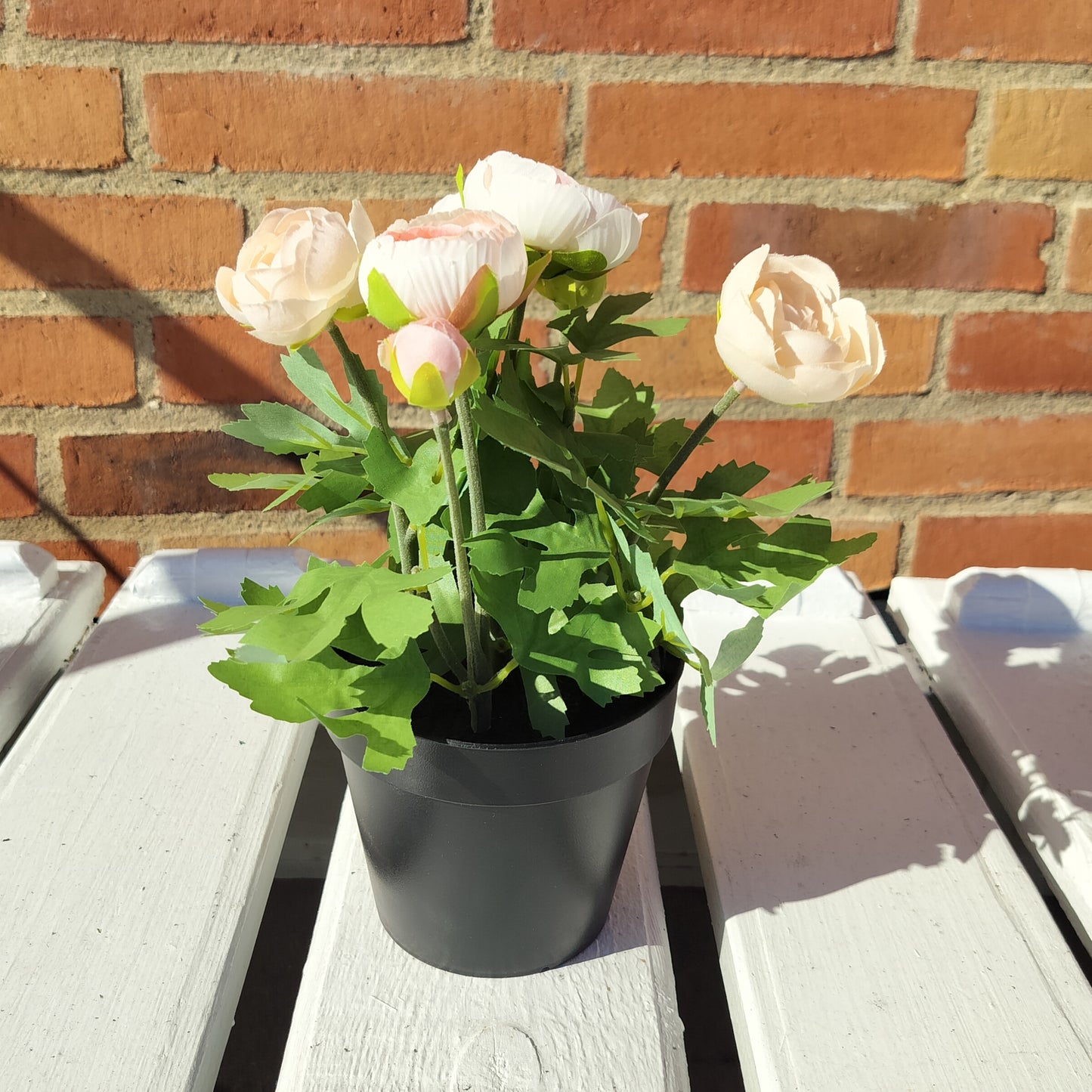 Ib Laursen - Kunstig ranunkel med ferskenfarvede blomster i sort potte H 25 cm