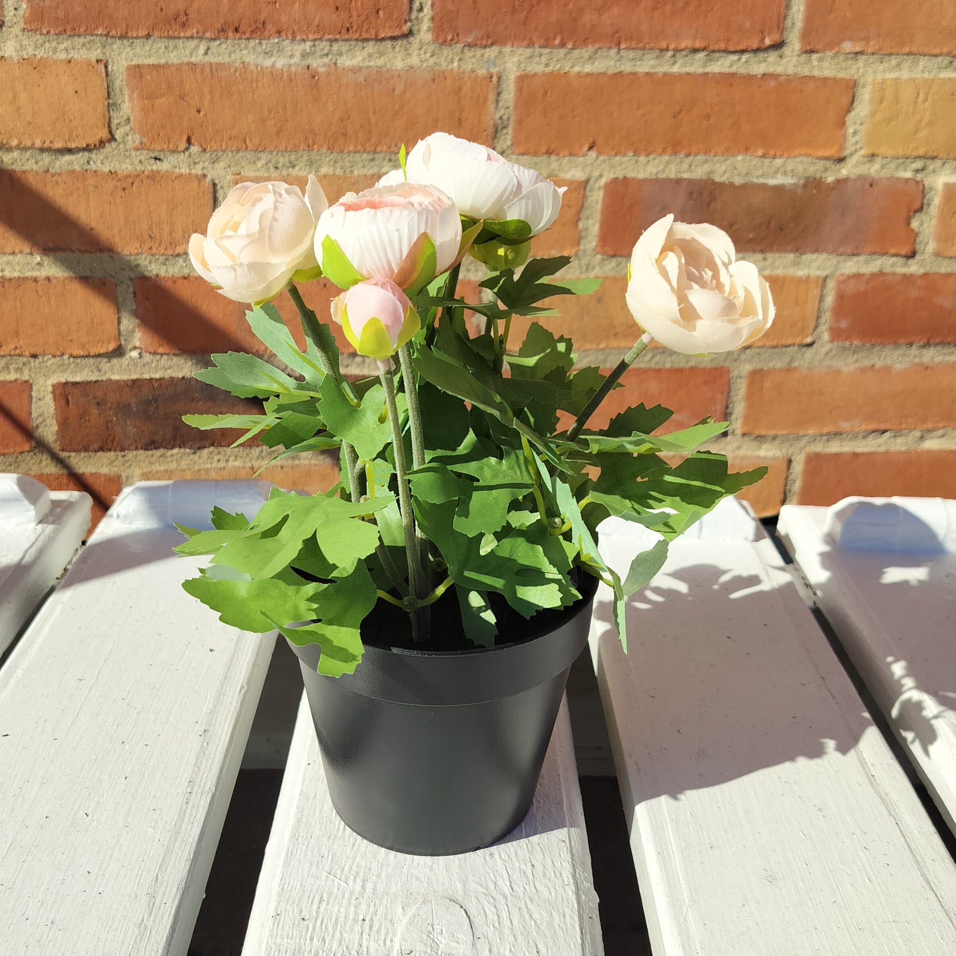 Ib Laursen - Kunstig ranunkel med ferskenfarvede blomster i sort potte H 25 cm