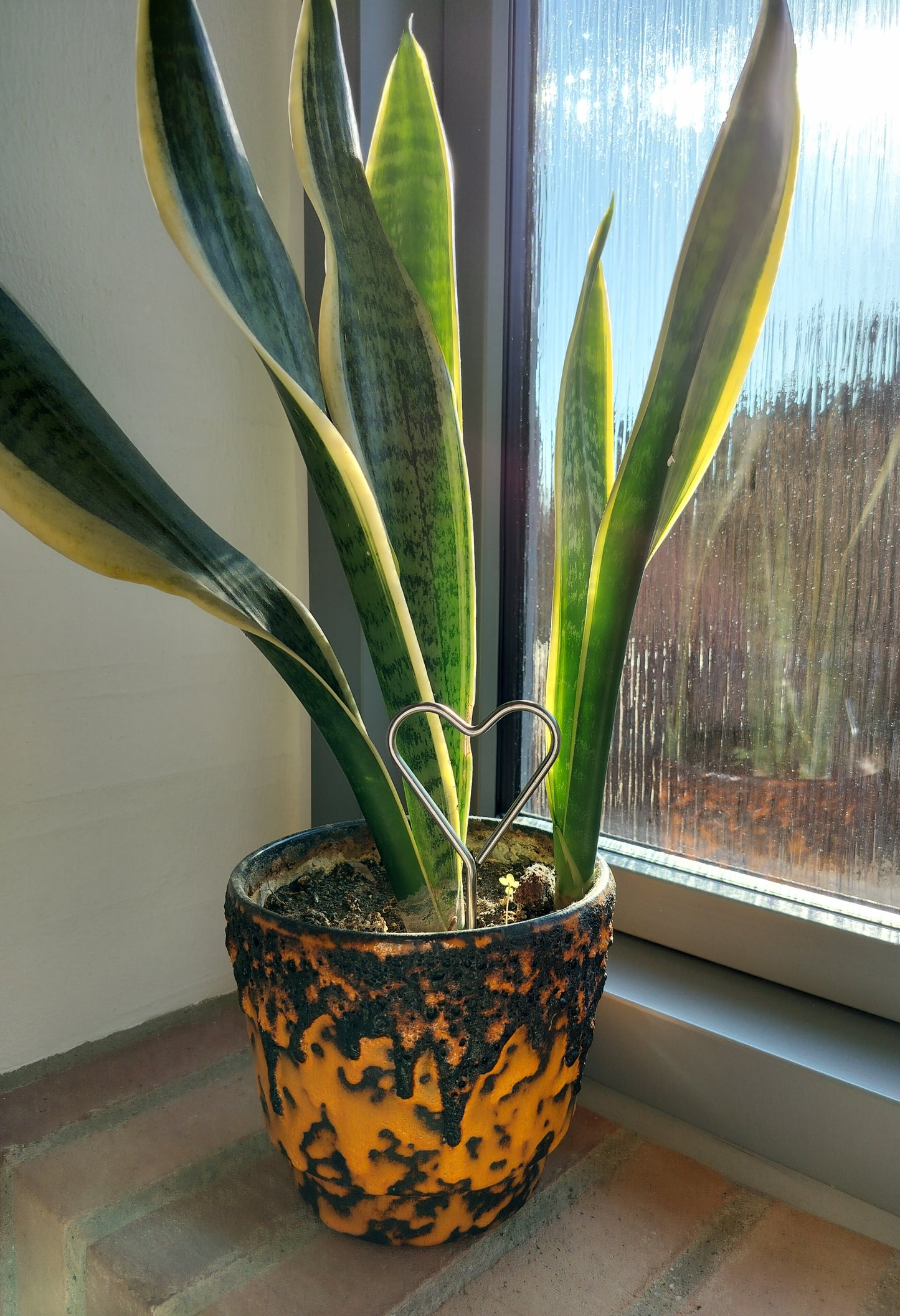 Mini metal hjerte i potteplante 