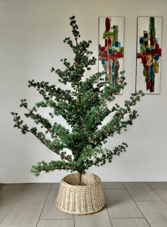 Skjuler til urtepotter eller juletræsfod (pil) Ø 39/51 cm x H 24 cm