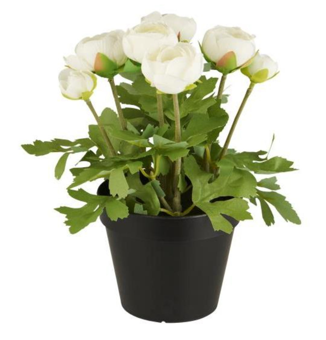 Ib Laursen - Kunstig ranunkel med hvide blomster i sort potte H 25 cm