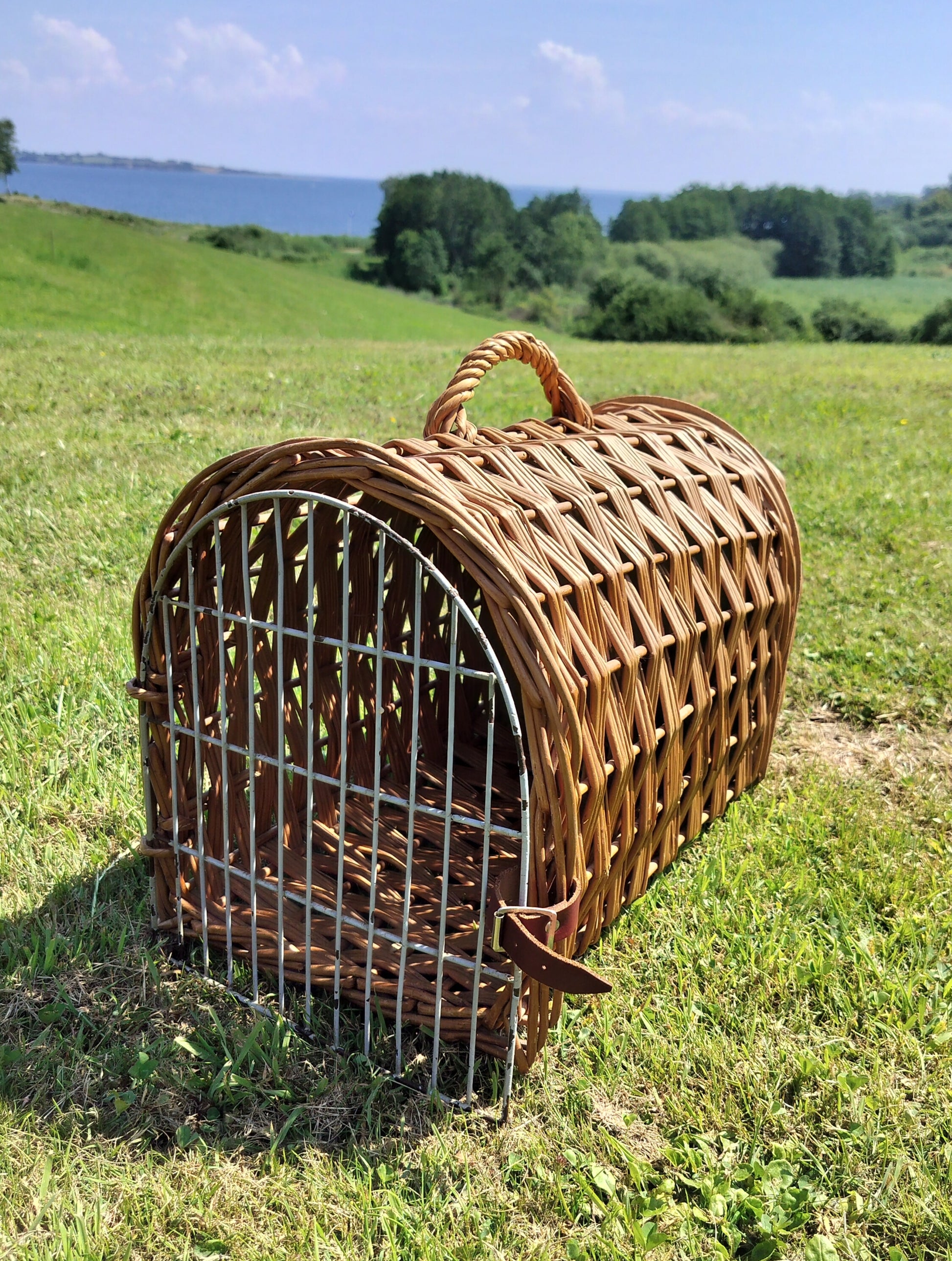 Secondhand - Flettet transportkasse til mindre dyr